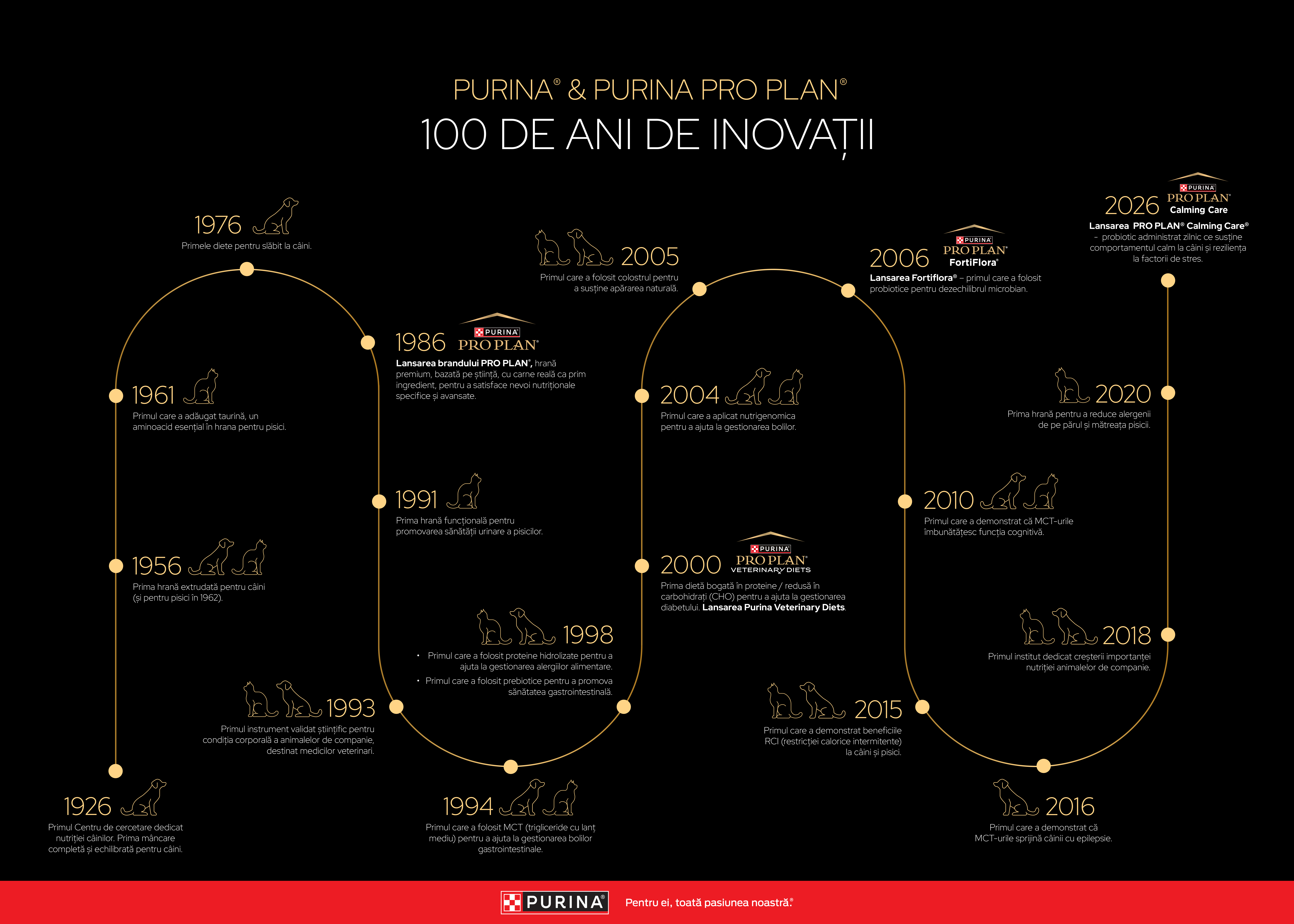 PP_infografic