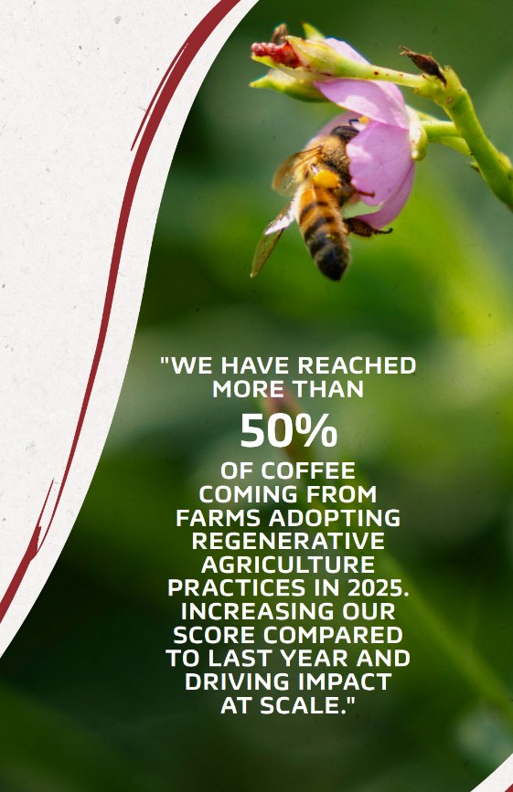 Planul NESCAFÉ pentru obtinerea cafelei bio.