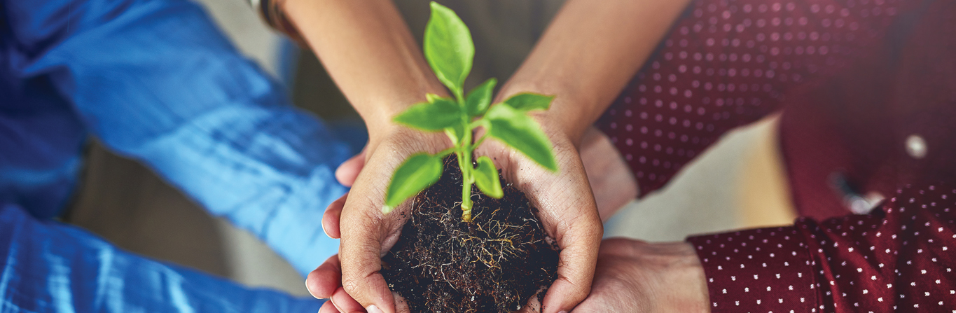 Promisiunea 5: Respectăm mediul înconjurător și susținem programe de agricultură sustenabilă