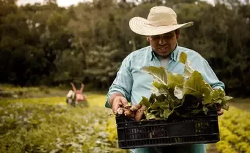 Fermier transportând o plantă