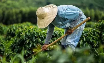 estlé se angajează să se aprovizioneze în mod responsabil și să producă durabil ingredientele sale.