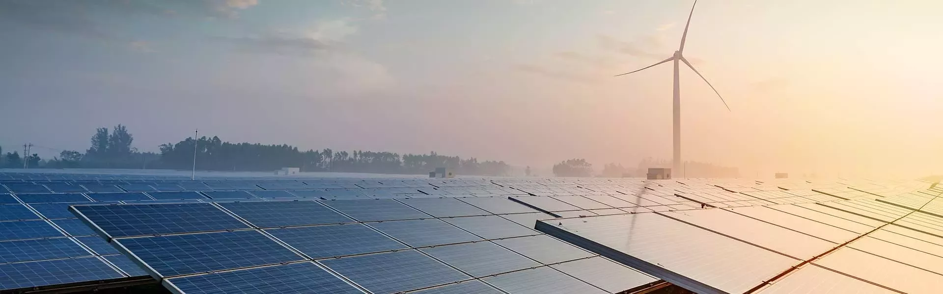Panouri solare contribuie la reducerea resurselor si a schimbarilor climatice. 