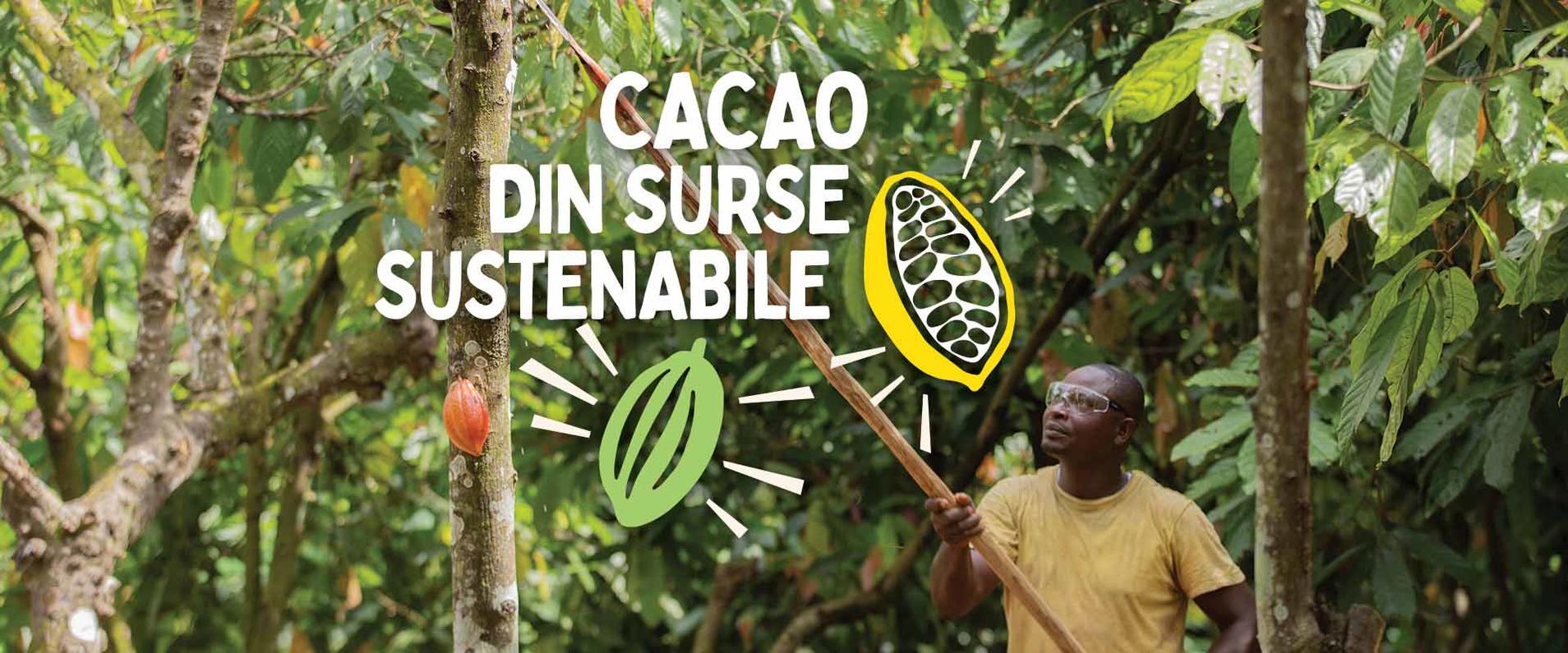 Cacao din surse sustenabile