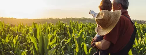 Bunic impreuna cu nepotul privesc un camp agricol
