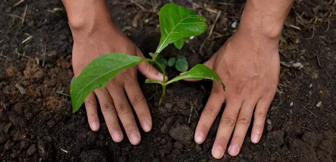 sistem alimentar regenerativ