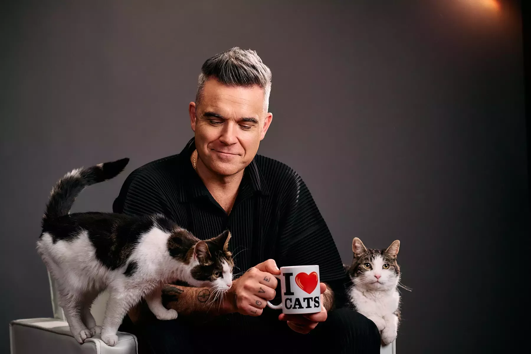 Robbie Williams campanie Felix
