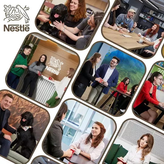 Nestlé vine la Angajatori de Top cu internshipuri plătite și nu numai!