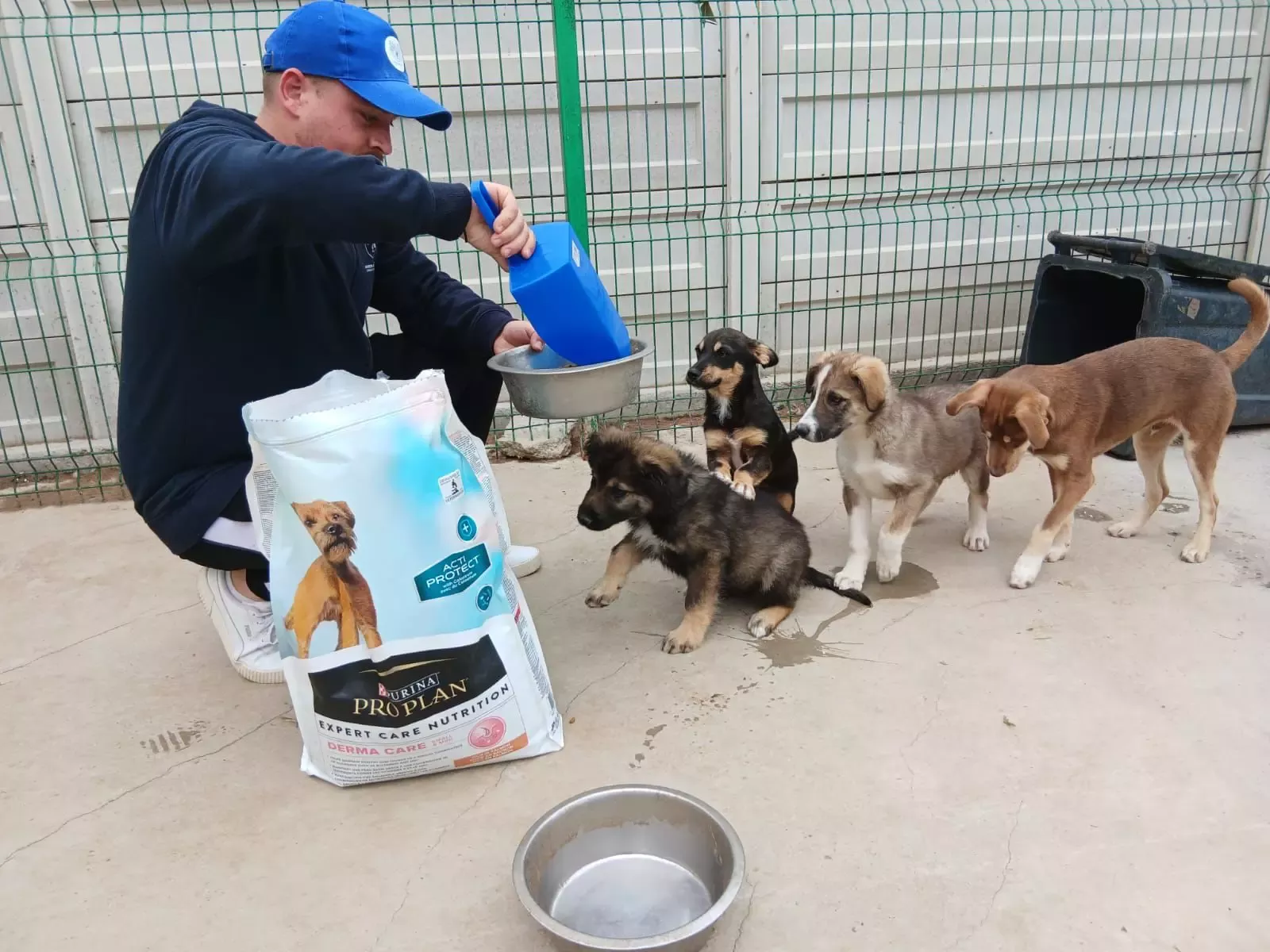 De la angajații Nestlé către animalele fără stăpân:  2.1 tone de hrană pentru animale de la PURINA donate adăposturilor din România