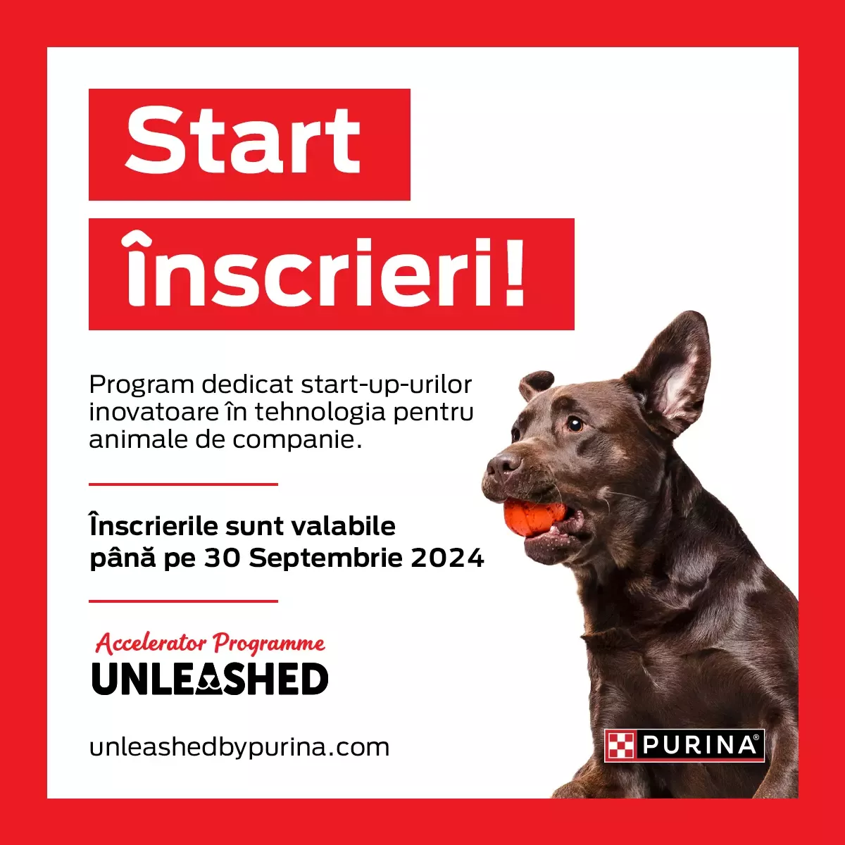 unleashed by purina