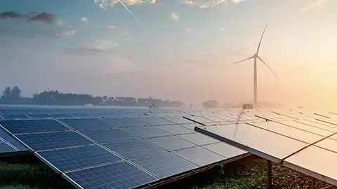 Panouri solare contribuie la reducerea resurselor si a schimbarilor climatice. 