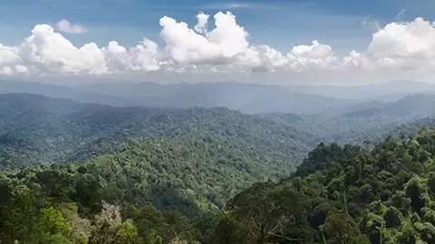 Colaborarea pentru sustinerea combaterii schimbarilor climatice. 