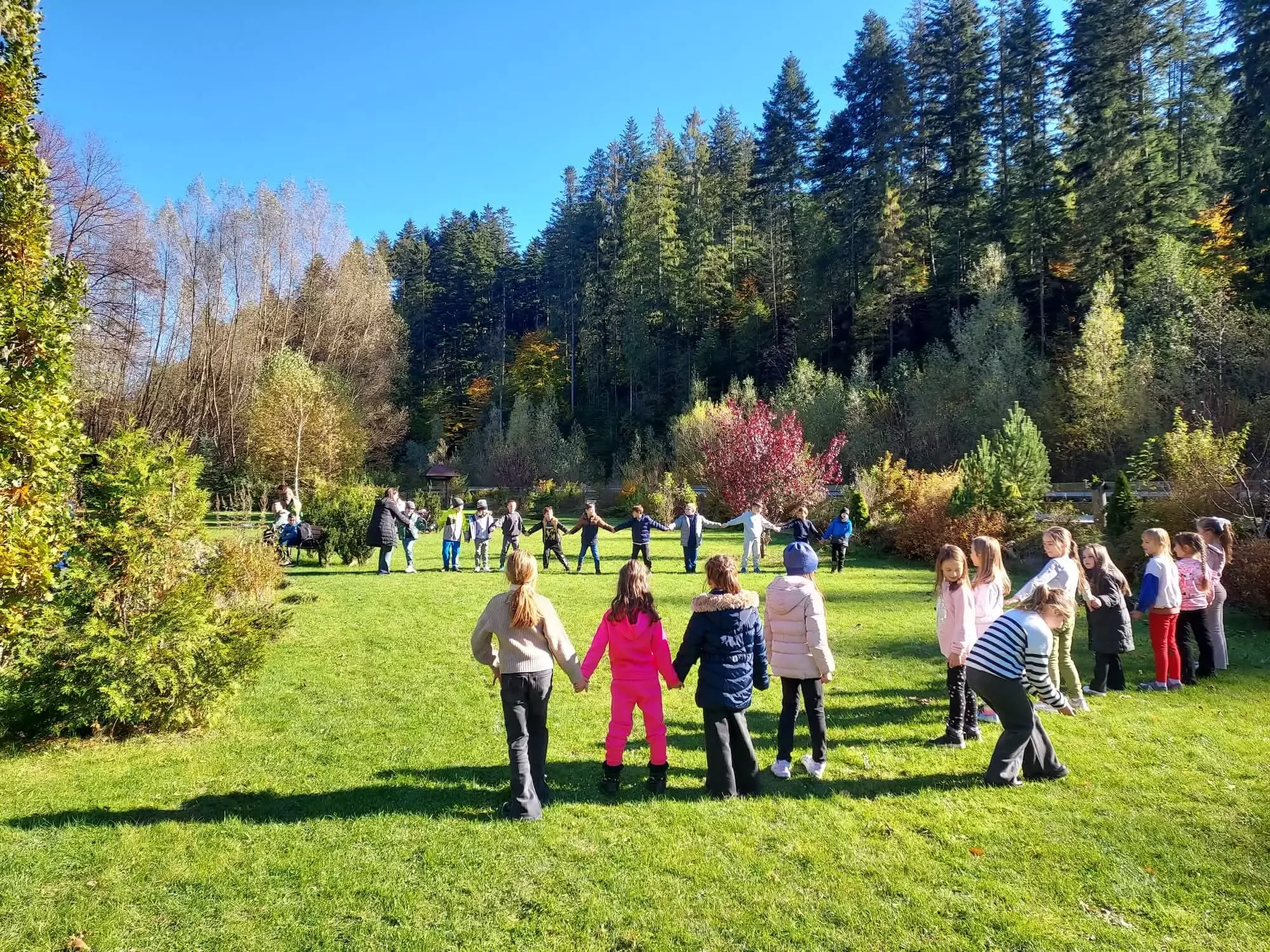 Copii facand activitati in padure