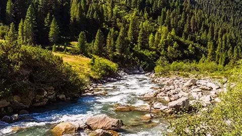 Râu într-o zonă montană.