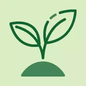 Plantă verde în creștere