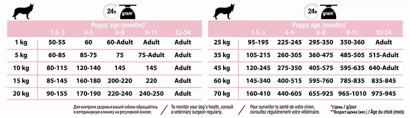 PRO PLAN MEDIUM PUPPY Piele Sensibilă cu Somon 12 kg