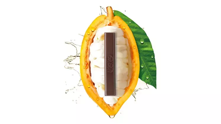 Cocoa Pulp Visual