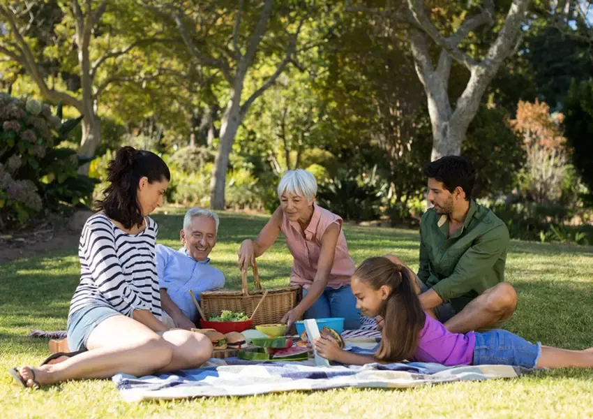 Foto Cum plănuiești coșul perfect de picnic?