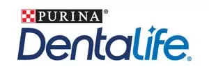 Dentalife logo
