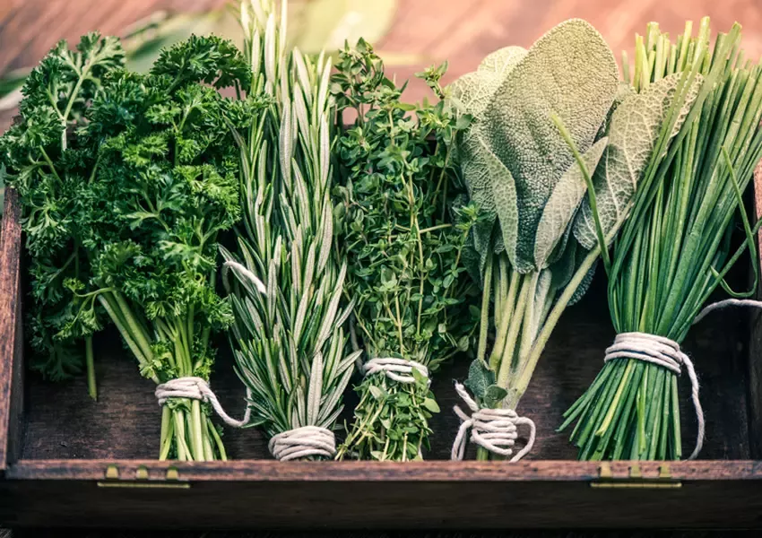 Foto Ierburile aromatice și tipurile de mâncare la care se potrivesc