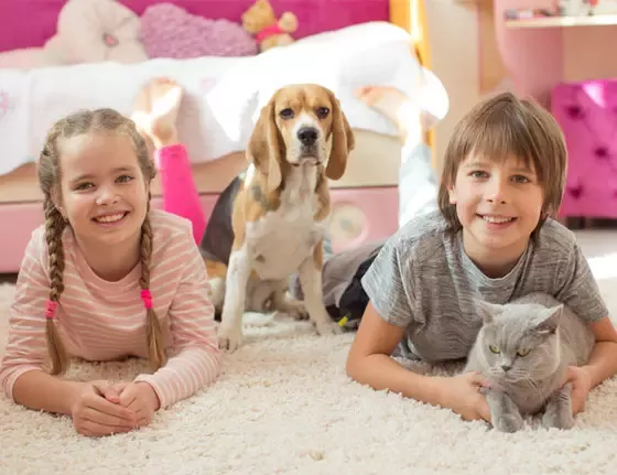 Esti pregatit sa ai un animal de companie?