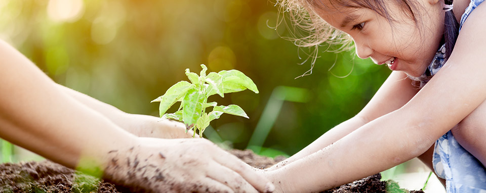 Comunitati - Contributia la dezvoltarea unor comunitati prospere si solide